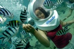 Bali Kombinasi Seawalker Tours | Bali Sukawati Tours | Bali Tanah Lot Tours | Bali Wisata Tours Harian | Bali Tours